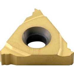 Plaquette à fileter a 60° profil plein tn16 er 125 m u 9035