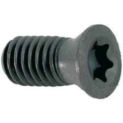 Vis torx 16t3