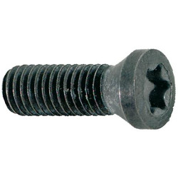 Vis de serrage m5 x 12 t20