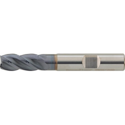 Fraise HPC longue carbure monobloc TiALN type INOX 35/38° D4 10,0mm FORMAT GT