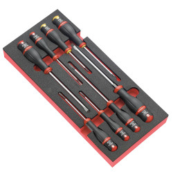Tournevis prot2 module mousse 10pce