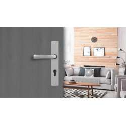 ENSEMBLE DE PORTE CHROME SATINE ENTREAXE 195mm CLE I