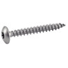 Vis agglomere tête cyl. 6 lobes penture A2