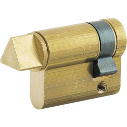 Demi-cylindre europeen 30x10 mm