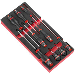 Module mousse tournevis protwist plats