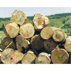 Traceur forestier fluo vert