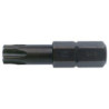 Embout torx