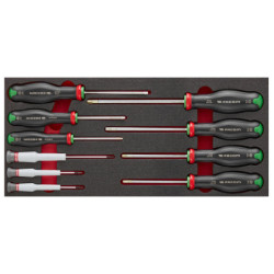 Module mousse tournevis Protwist Torx