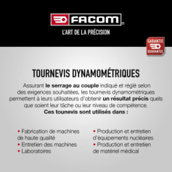 Tournevis dynamo 2,5nm