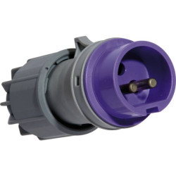 Fiche male 24v - 2p - 16a - p17 - norme