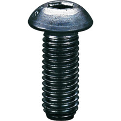 Vis bombée hexagonale creuse ISO 7380 m3x6 cl10.9 brut