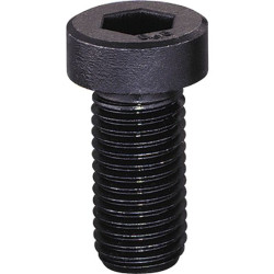 Vis cylindrique hexagonale creuse bas din 7984 m10x45 cl 8.8 brut