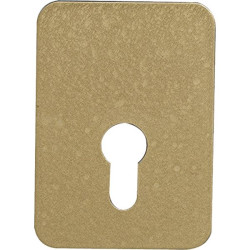 Plaque de renforcement arnov cylindre europeen brz or