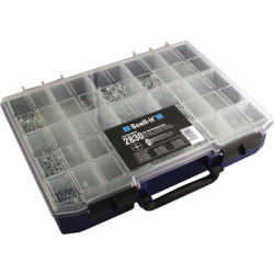 Coffret vis autoperceuse tete cruciforme 2830 vis tfc az